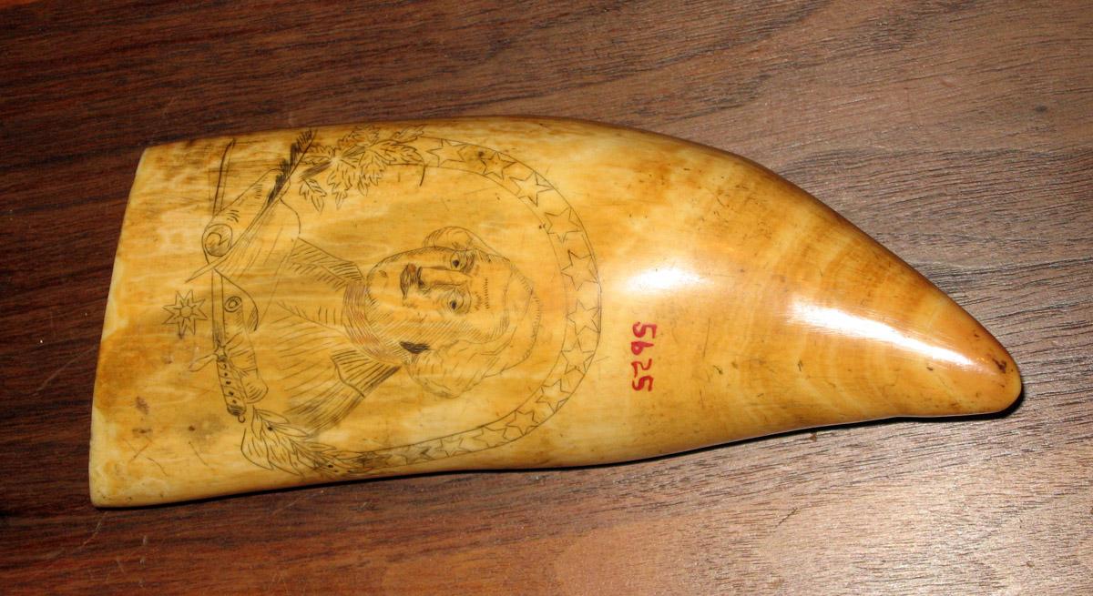 1967.0877 Whale tooth (view 2)