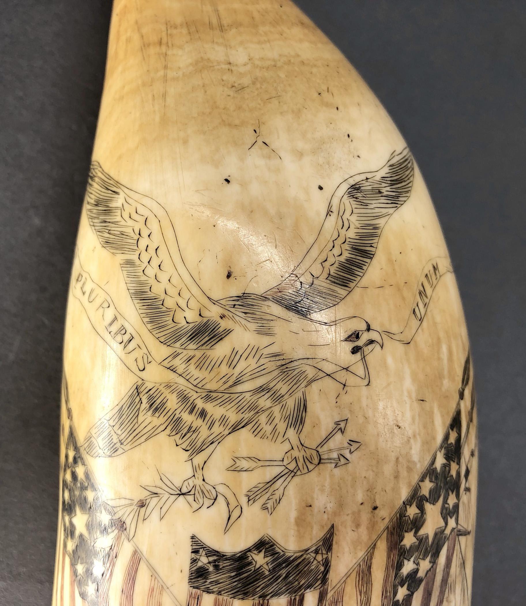 1967.0877 Whale tooth, Scrimshaw tooth, view2 Obverse detail