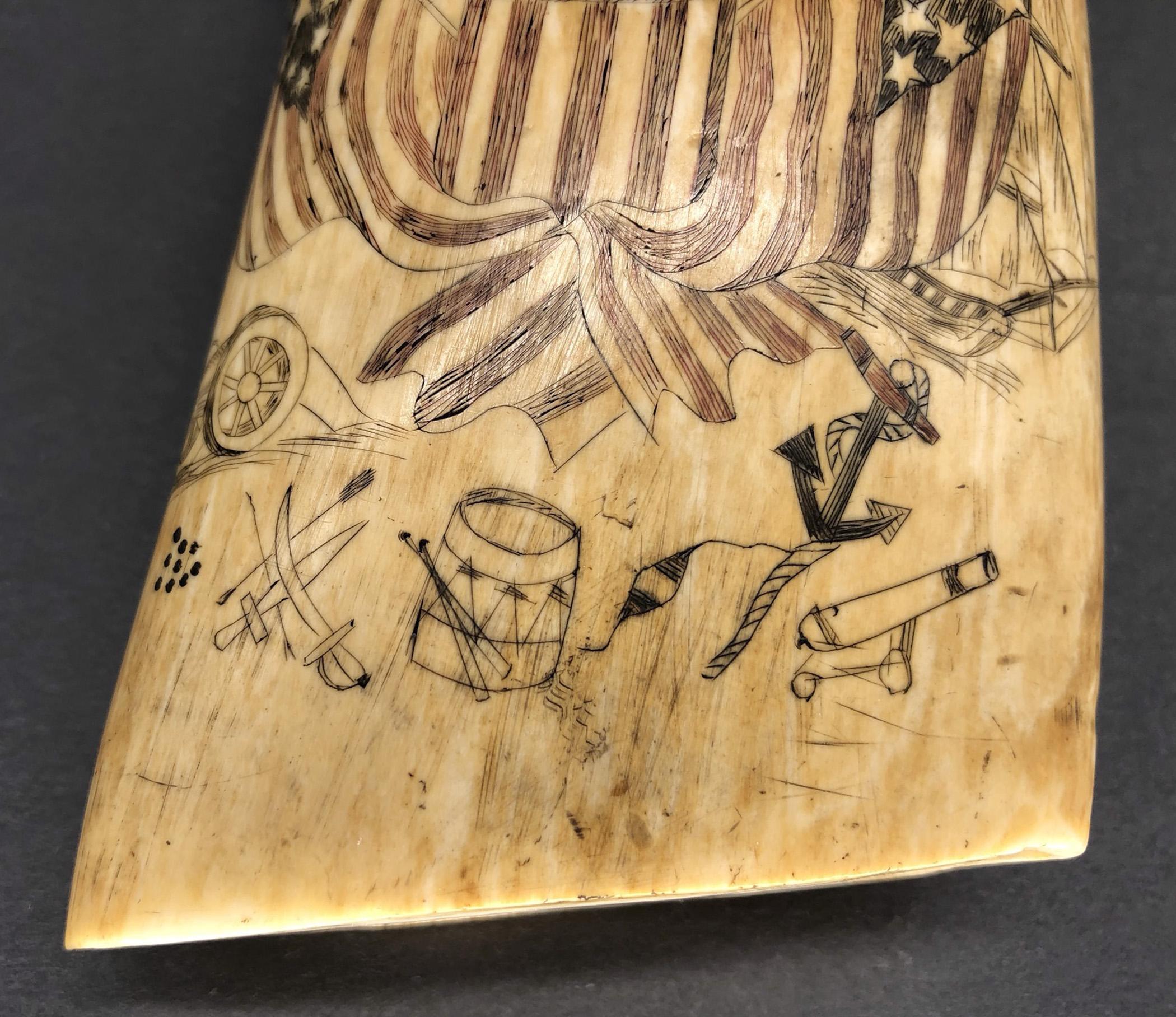 1967.0877 Whale tooth, Scrimshaw tooth, view3 Obverse detail