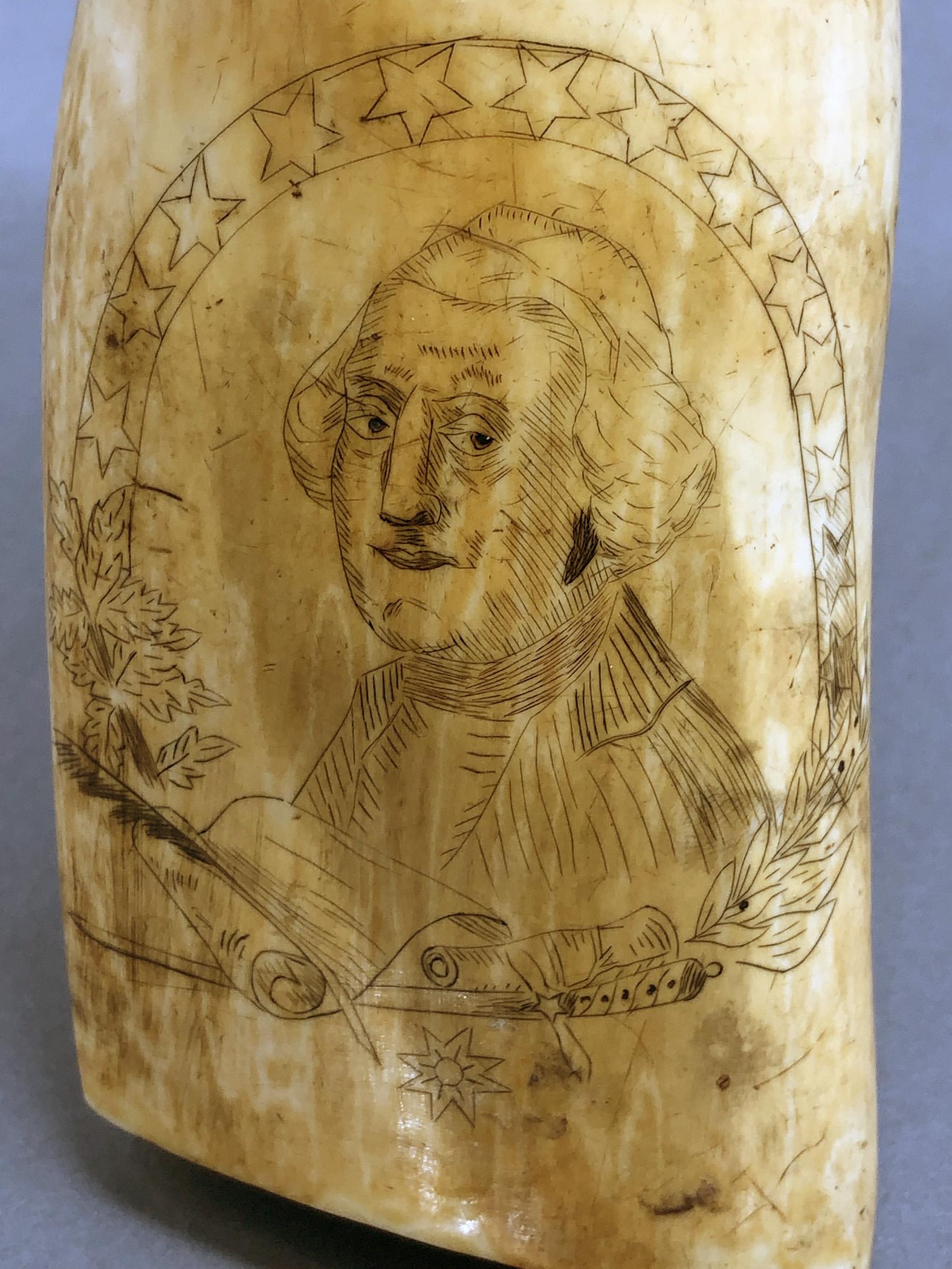 1967.0877 Whale tooth, Scrimshaw tooth, view9 Reverse detail