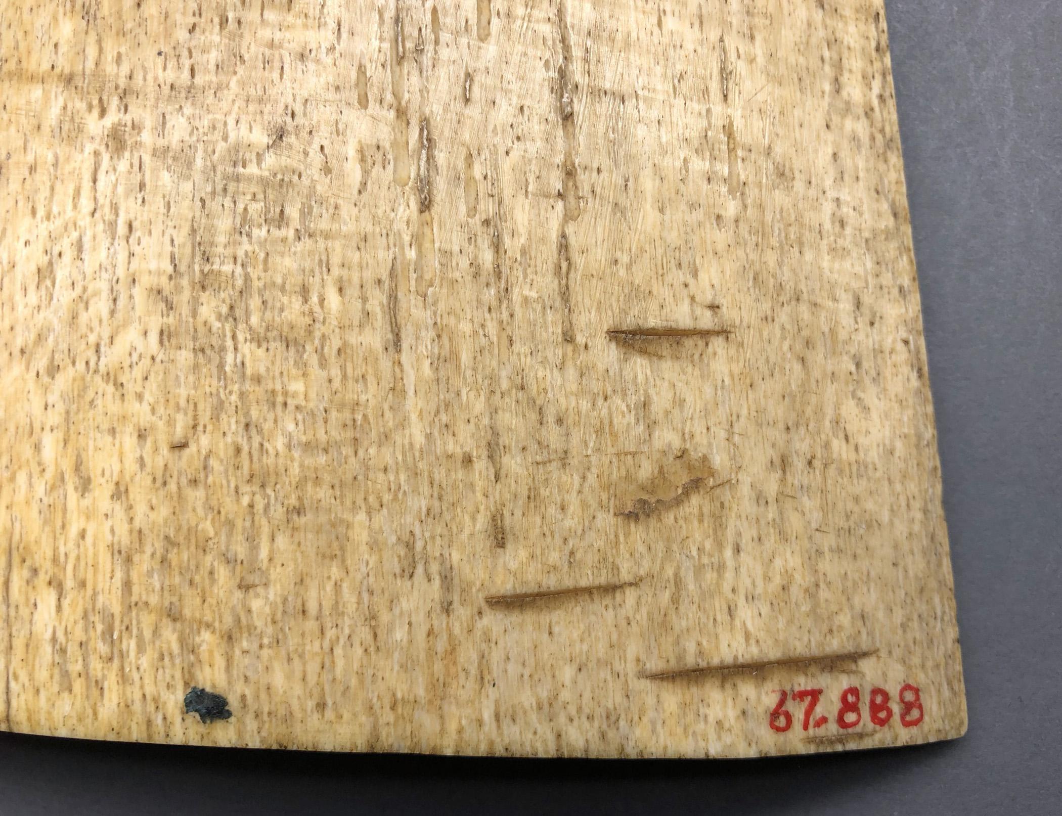 1967.0888 Plaque, Scrimshaw picture, view16 Reverse detail