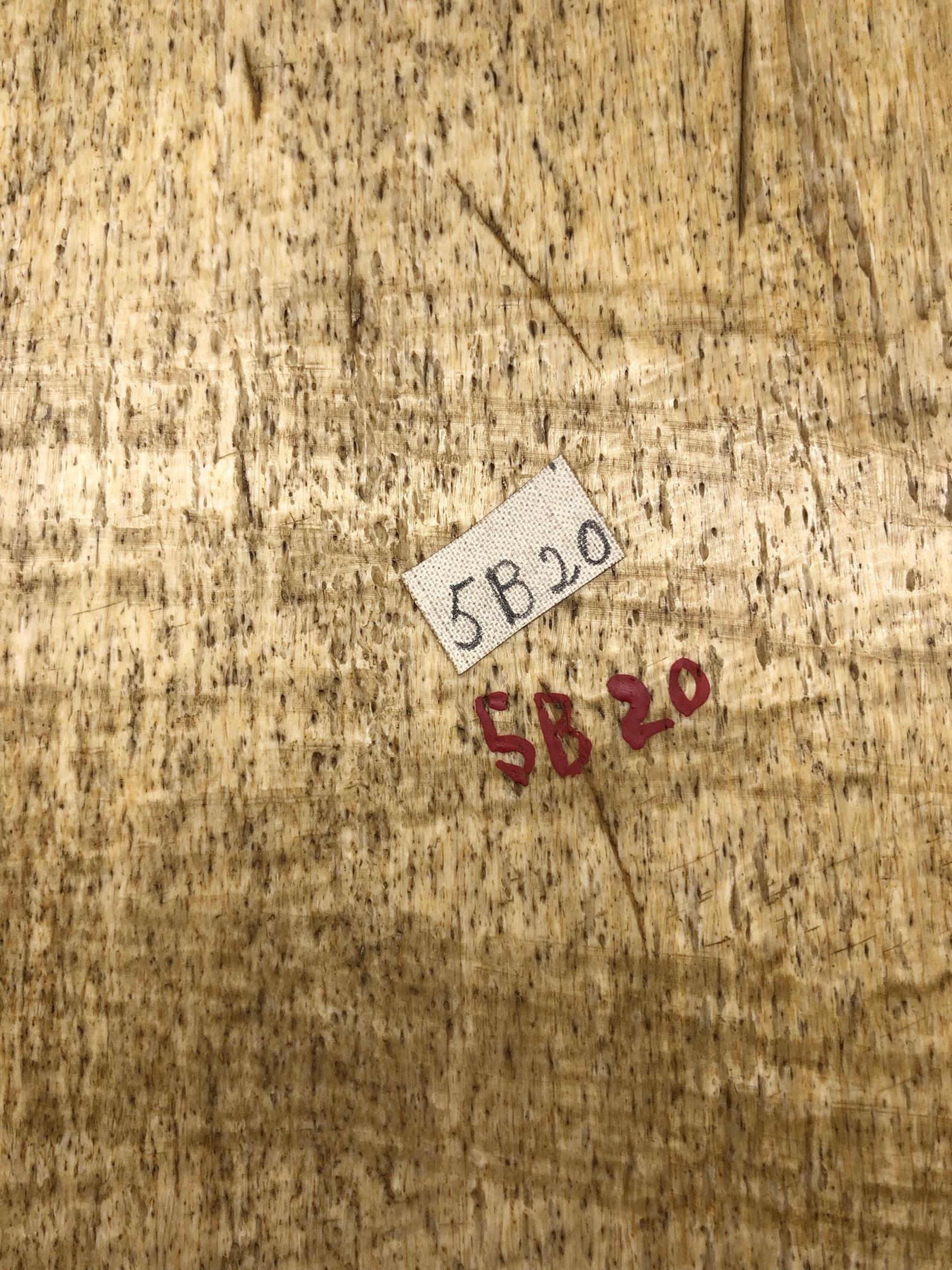 1967.0888 Plaque, Scrimshaw picture, view17 Reverse detail