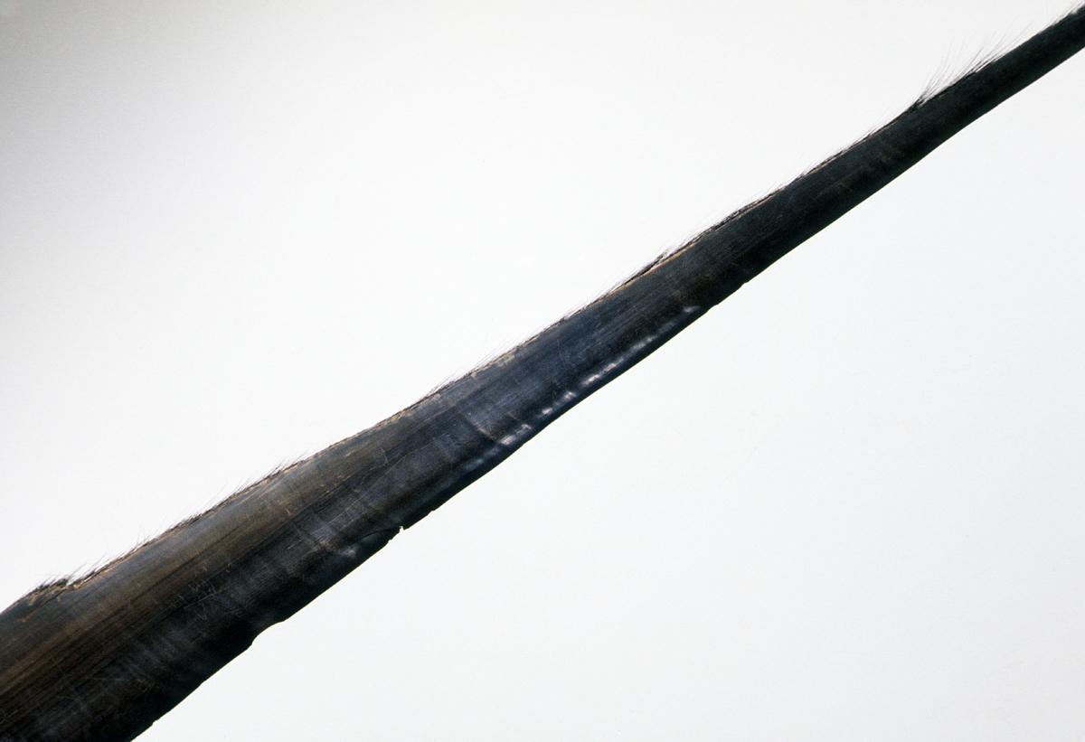 1967.0946 Whale Bone