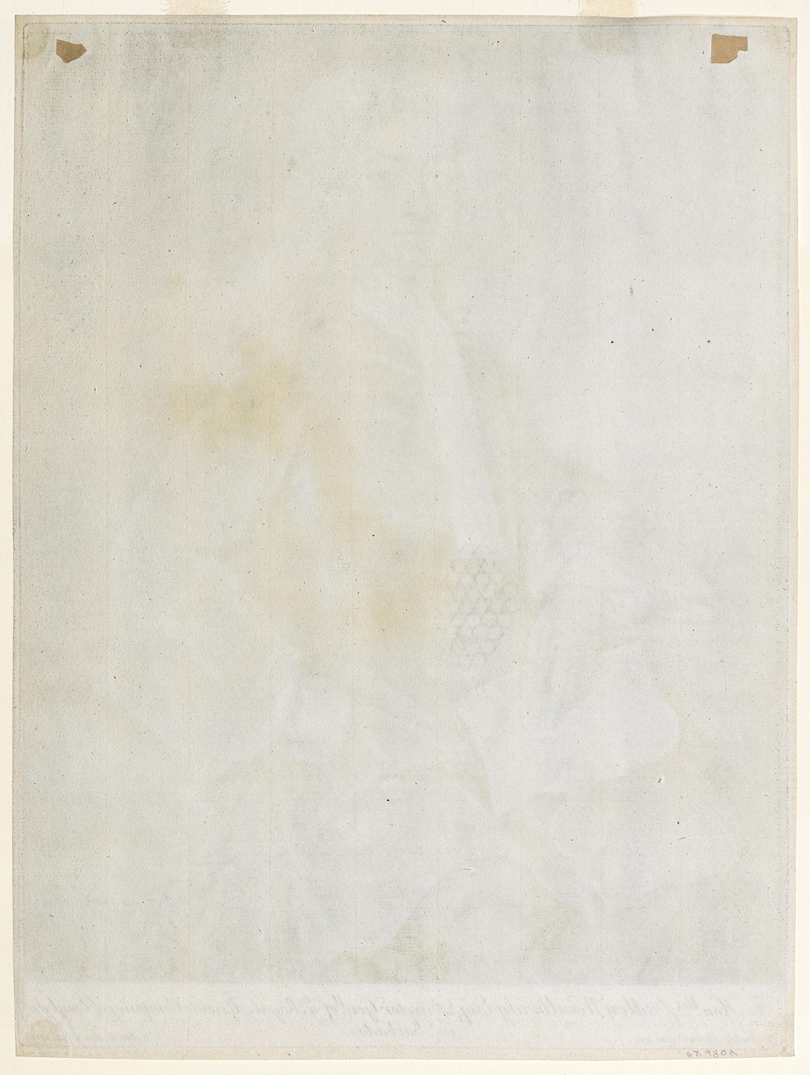 1967.0980 A Print, view 2, reverse