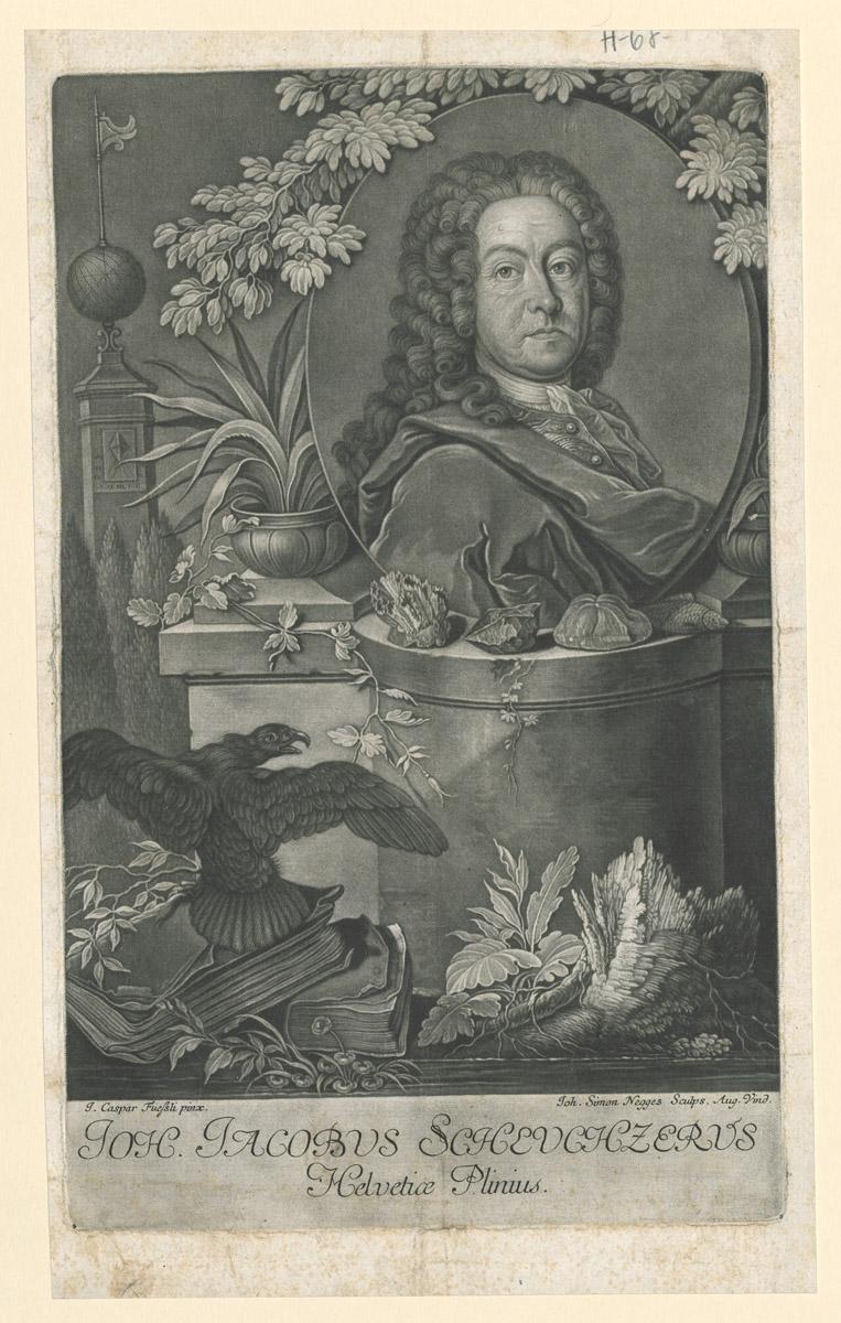 1967.2176 Print