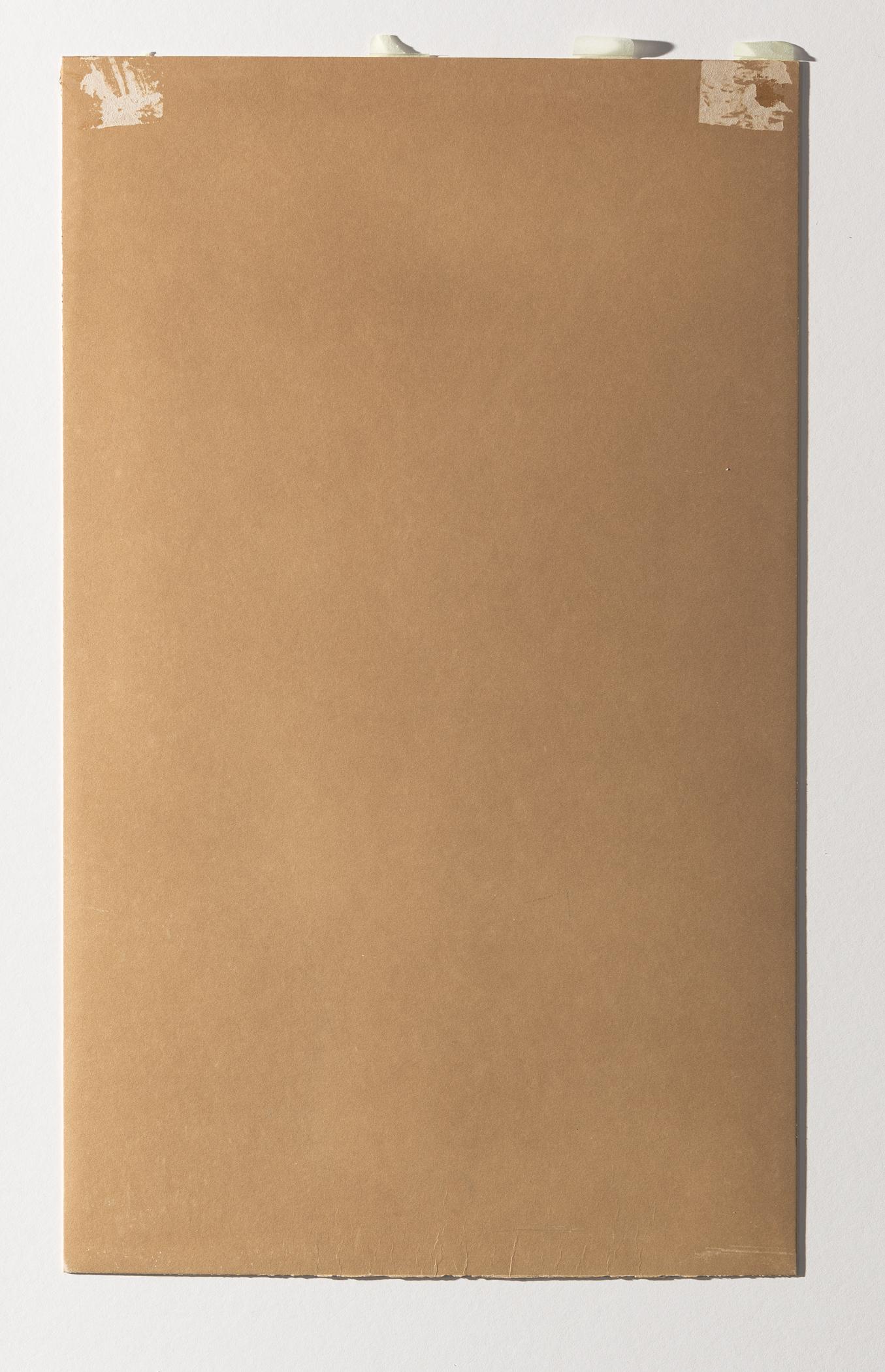 1967.2258 Print, view 4, reverse, raking light