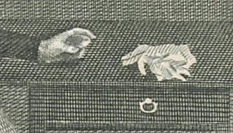 1967.2337 Print, detail 3