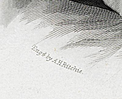 1967.2388 Print, Detail