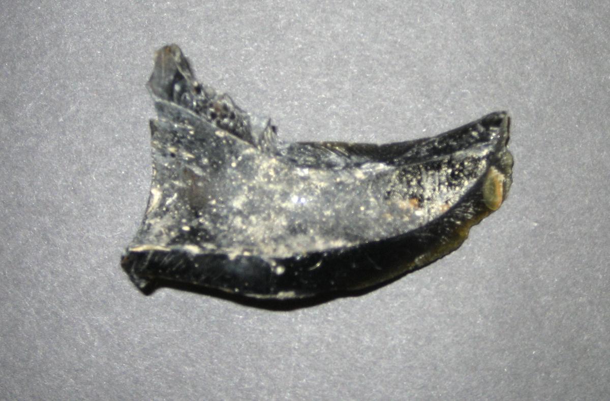 1968.0312.011 Bottle fragment
