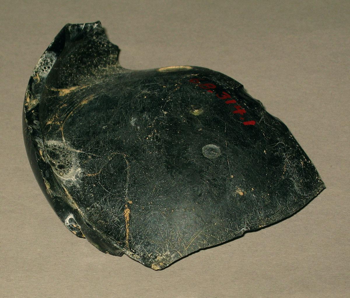 1968.0314.001 Glass bottle fragment
