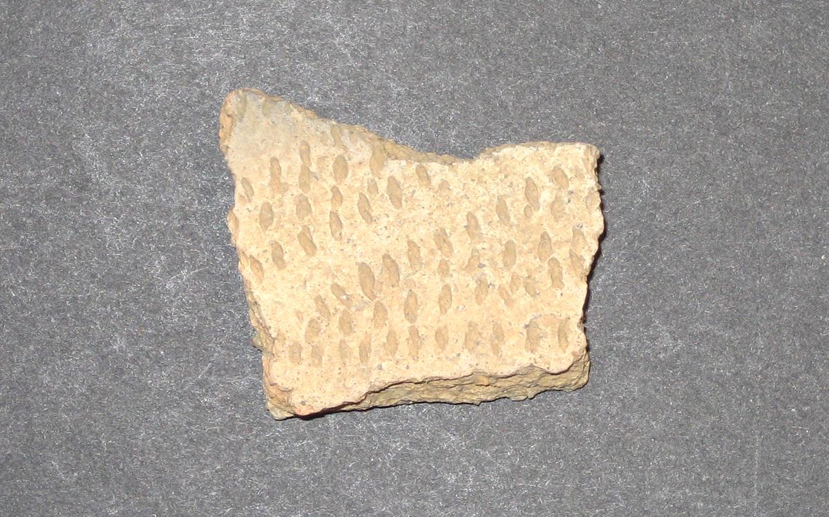 1968.0315.005 Ceramic fragment