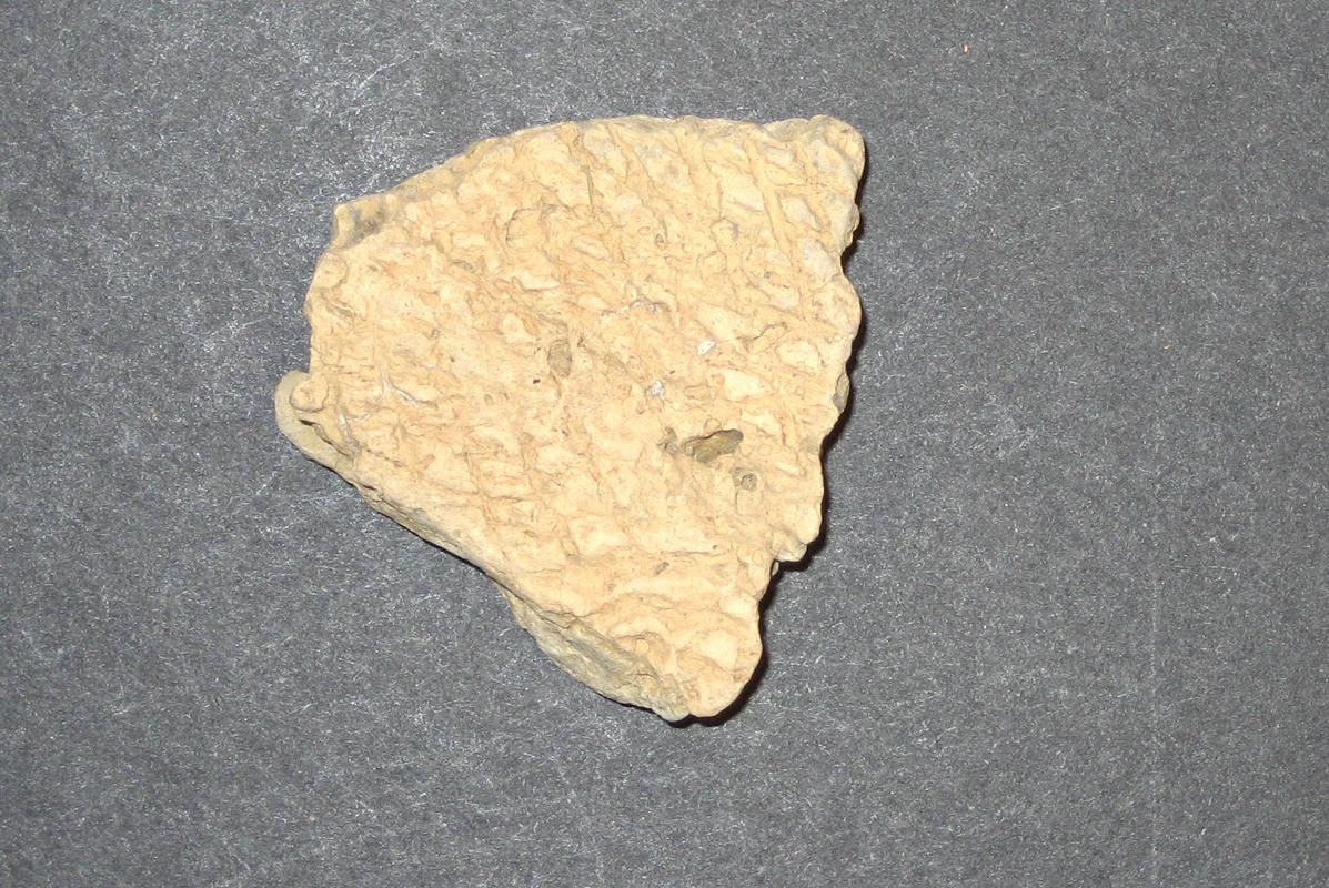 1968.0315.008 Ceramic fragment