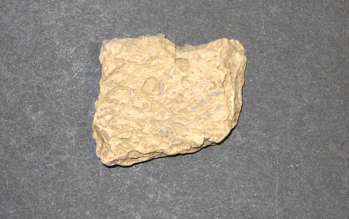 1968.0315.010 Ceramic fragment