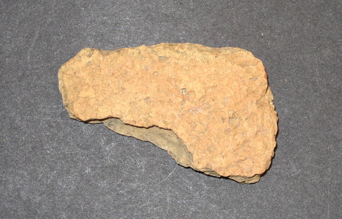 1968.0315.013 Ceramic fragment