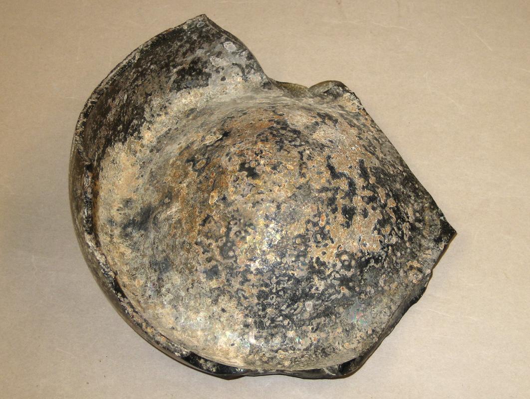 1968.0325.001 Glass fragment