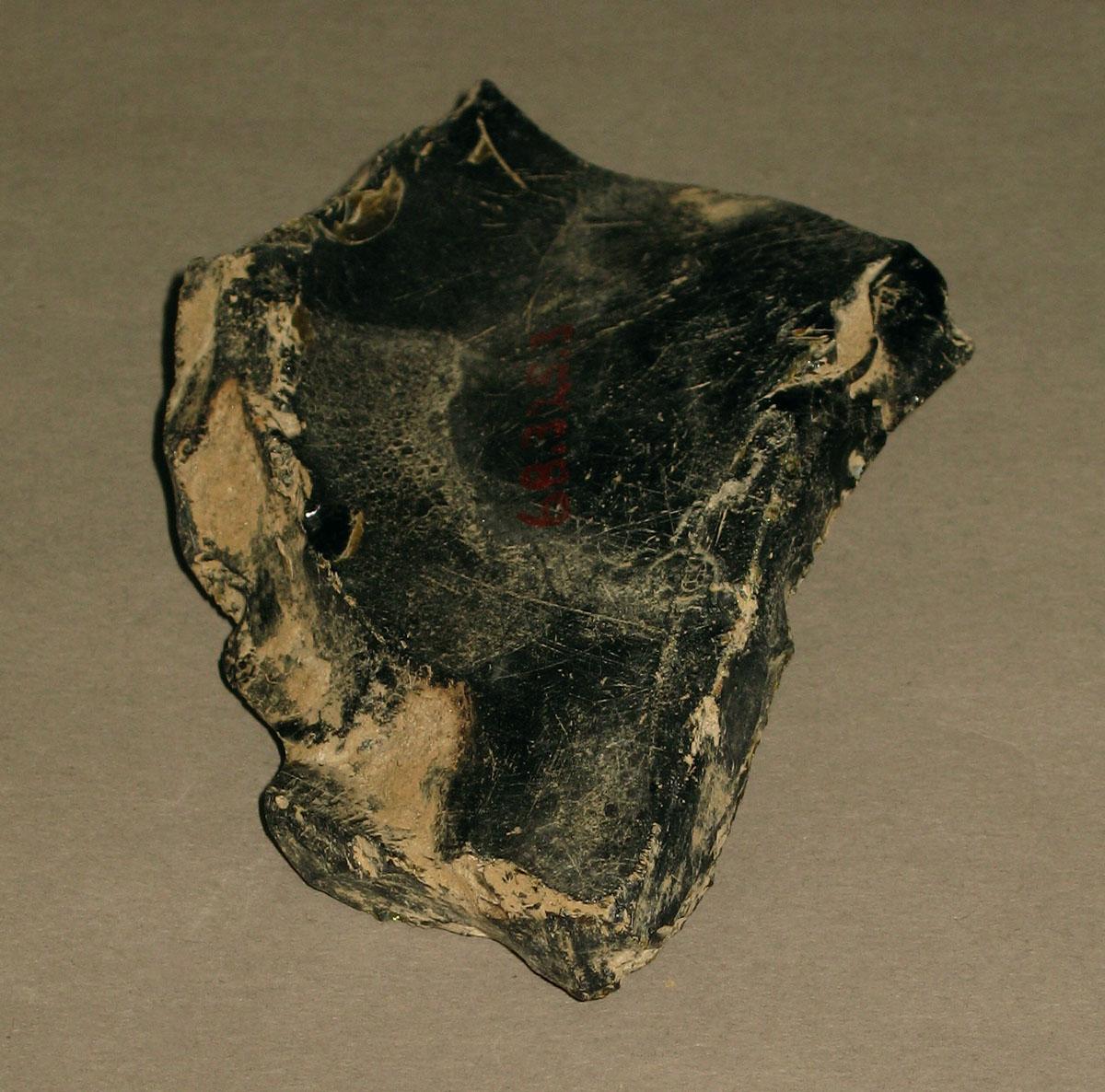 1968.0325.003 Glass bottle fragment