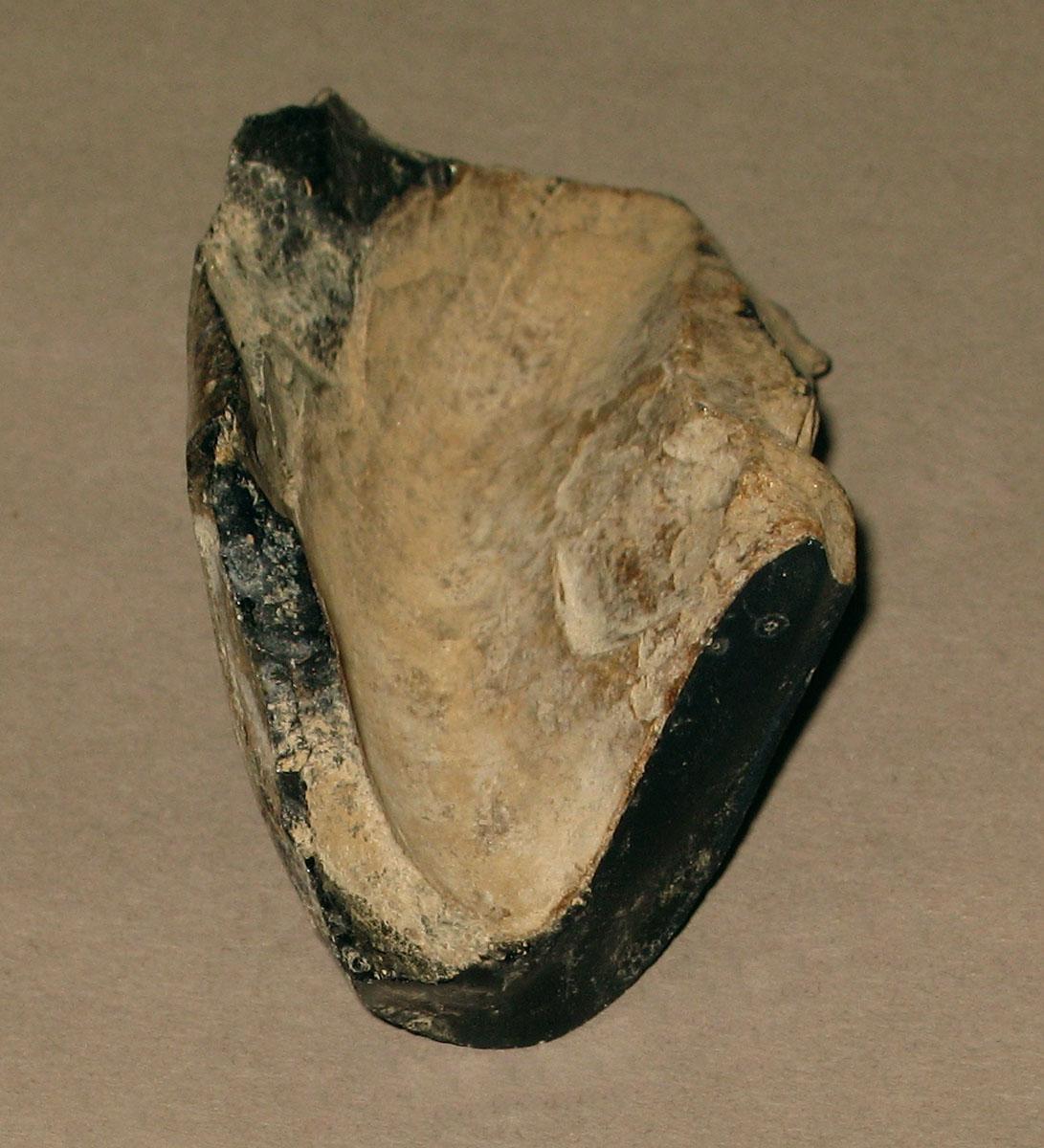 1968.0325.006 Glass fragment