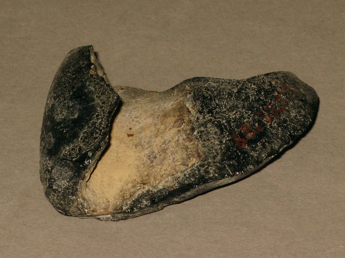 1968.0325.007 Glass bottle fragment