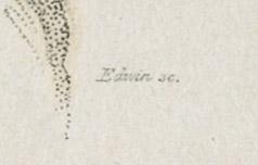 1968.0394.013 Print, detail 2