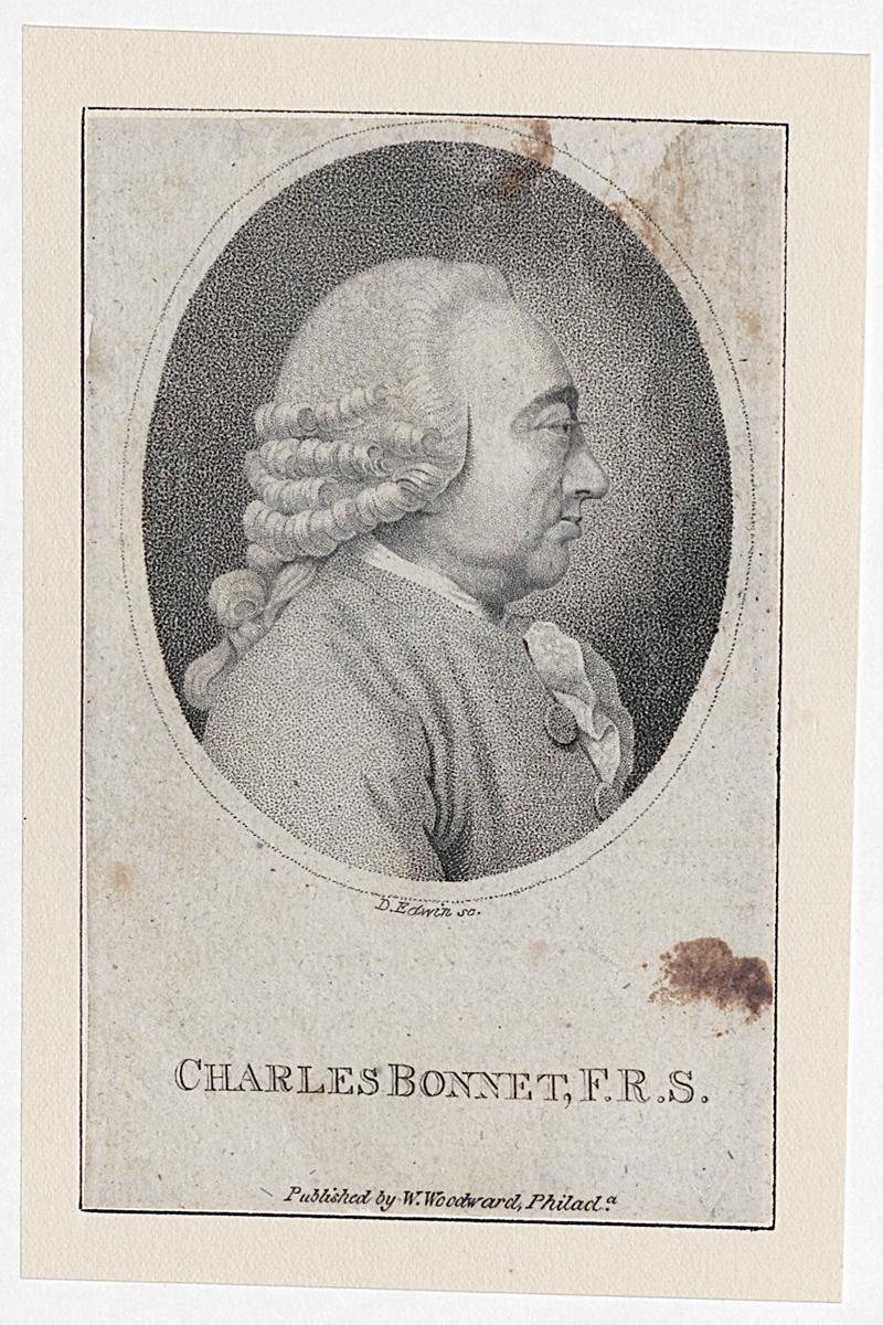 1968.0394.026 Print