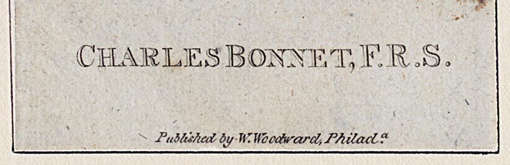 1968.0394.026 Print, Detail 2