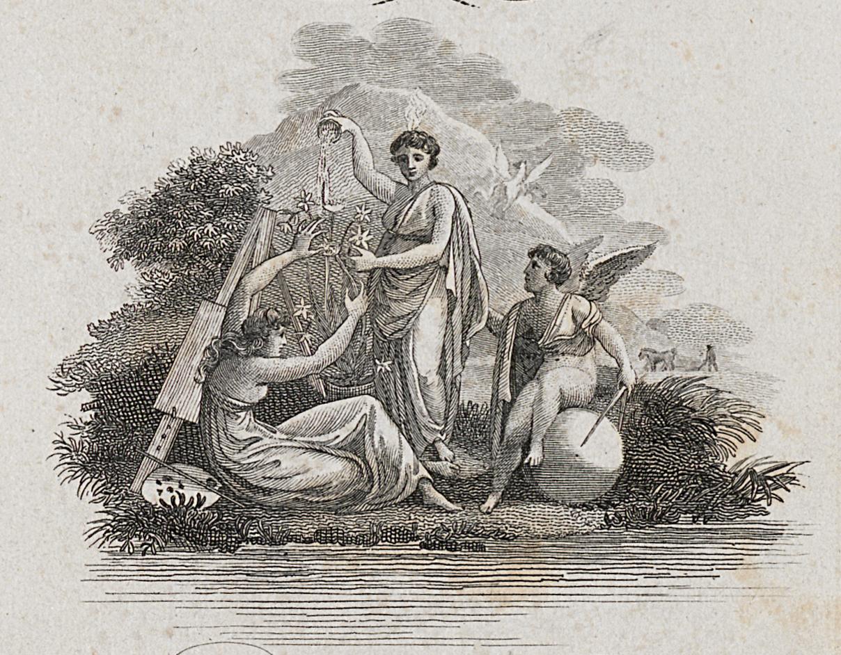 1968.0394.046 A Print, Detail