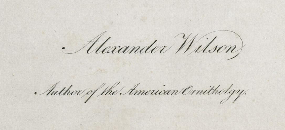 1968.0394.209 Print, detail