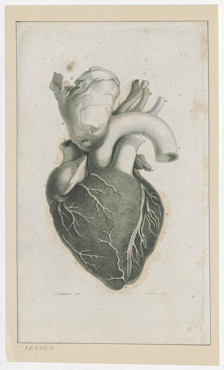 1968.0395.002 Print, reverse
