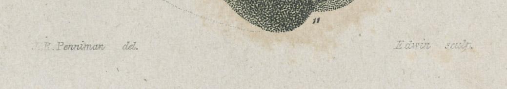 1968.0395.002 Print, reverse, detail