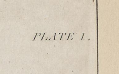 1968.0395.003 Print, detail 2