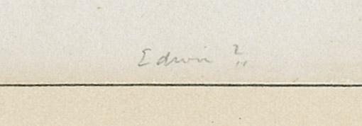 1968.0397.012 Print, detail 2