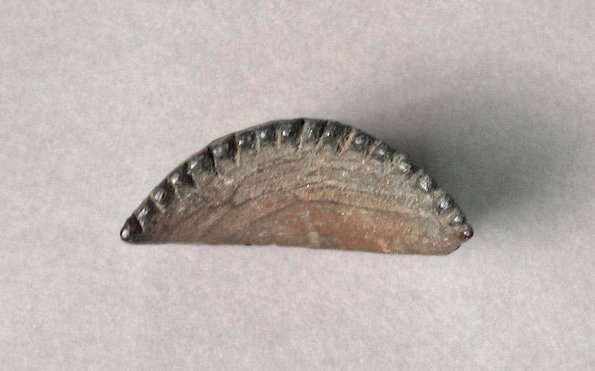 1968.0695.059, Printing block, bottom