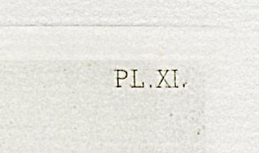 1969.0211.001 Print, Detail 4