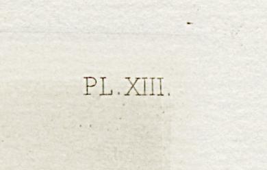 1969.0211.002 Print, Detail 4