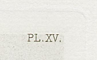 1969.0211.003 Print, Detail 4