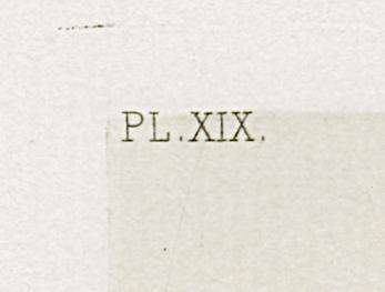 1969.0211.004 Print, Detail 3