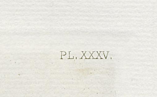 1969.0211.005 Print, Detail 4