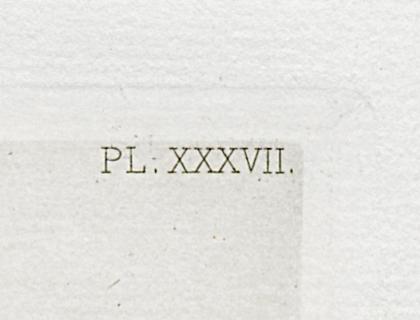 1969.0211.006 Print, Detail 4