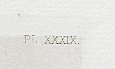 1969.0211.007 Print, Detail 4