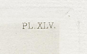 1969.0211.009 Print, Detail 4