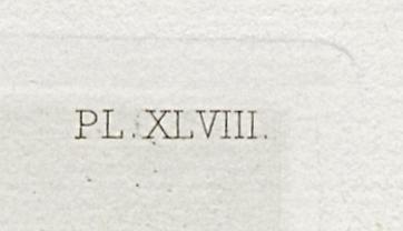 1969.0211.010 Print, Detail 4
