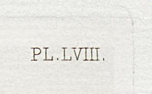1969.0211.012 Print, Detail 4