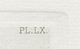 1969.0211.013 Print, Detail 4