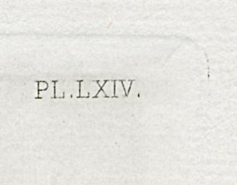 1969.0211.015 Print, Detail 4