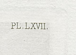1969.0211.016 Print, Detail 4