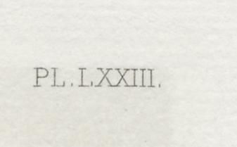1969.0211.018 Print, Detail 4