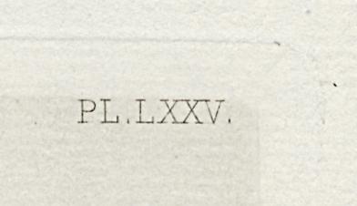 1969.0211.019 Print, Detail 4