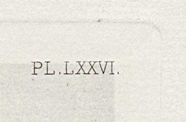1969.0211.020 Print, Detail 3