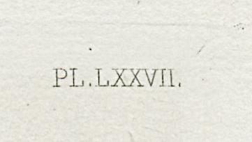 1969.0211.021 Print, Detail 4