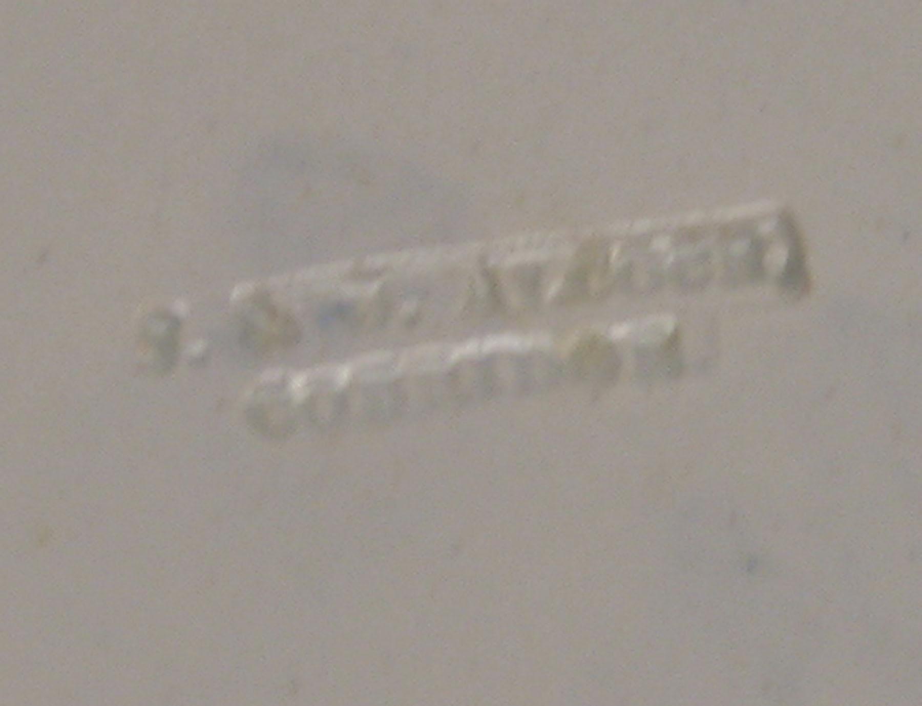 1969.0213 Blue spatter plate (mark)